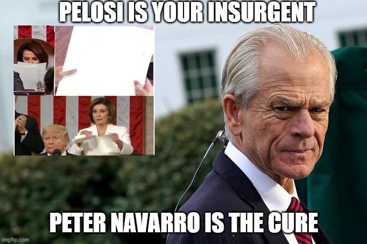 Peter Navarro Pelosi sham committee | PELOSI IS YOUR INSURGENT; PETER NAVARRO IS THE CURE | made w/ Imgflip meme maker