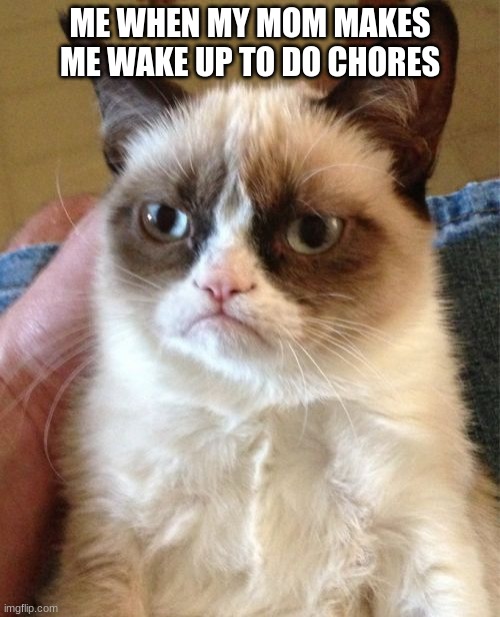 Grumpy Cat Meme | ME WHEN MY MOM MAKES ME WAKE UP TO DO CHORES | image tagged in memes,grumpy cat | made w/ Imgflip meme maker