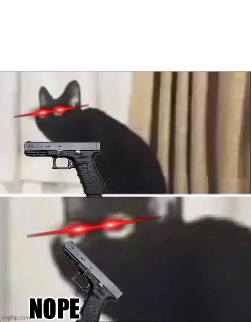 Oh No Black Cat | NOPE | image tagged in oh no black cat | made w/ Imgflip meme maker