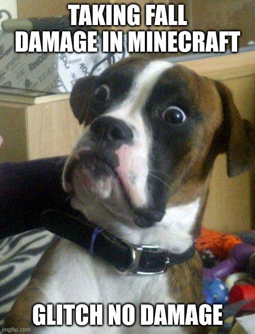 Blankie the Shocked Dog | TAKING FALL DAMAGE IN MINECRAFT; GLITCH NO DAMAGE | image tagged in blankie the shocked dog | made w/ Imgflip meme maker