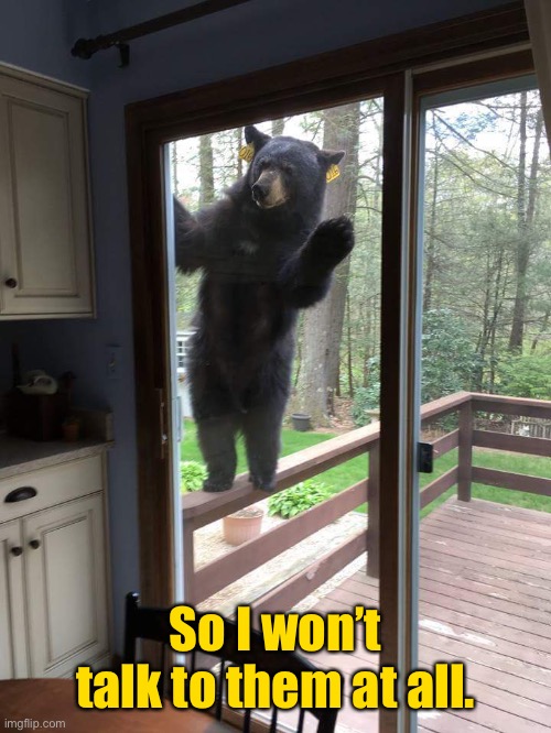 Bear At The Door | So I won’t talk to them at all. | image tagged in bear at the door | made w/ Imgflip meme maker