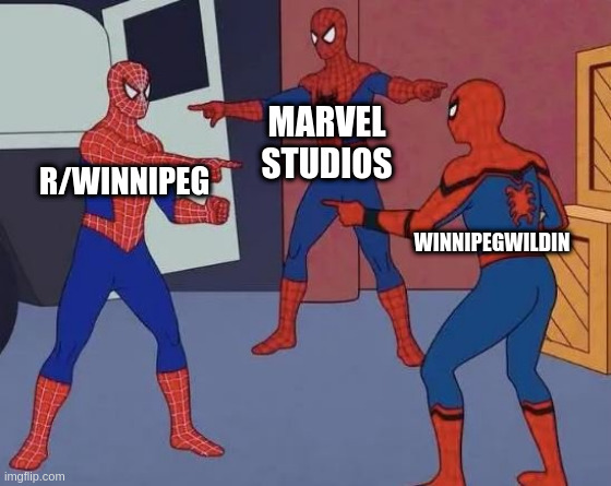 3 Spiderman Pointing | MARVEL STUDIOS; R/WINNIPEG; WINNIPEGWILDIN | image tagged in 3 spiderman pointing | made w/ Imgflip meme maker