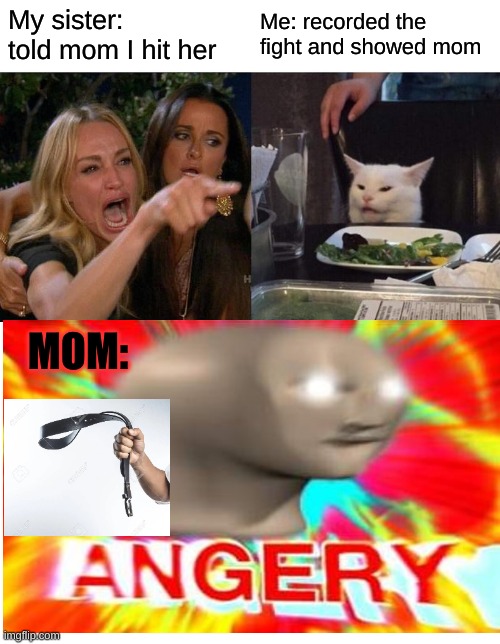 my family | My sister: told mom I hit her; Me: recorded the fight and showed mom; MOM: | image tagged in memes,woman yelling at cat | made w/ Imgflip meme maker