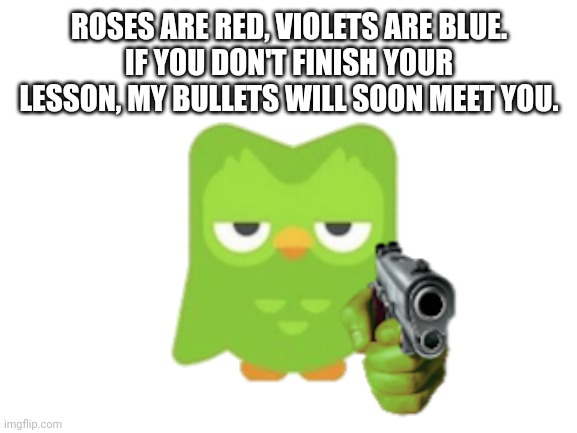 Killerlingo | ROSES ARE RED, VIOLETS ARE BLUE.
IF YOU DON'T FINISH YOUR LESSON, MY BULLETS WILL SOON MEET YOU. | image tagged in duolingo,funny,memes,oh wow are you actually reading these tags | made w/ Imgflip meme maker