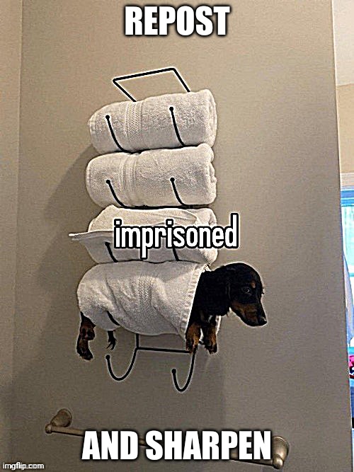 REPOST; AND SHARPEN | made w/ Imgflip meme maker