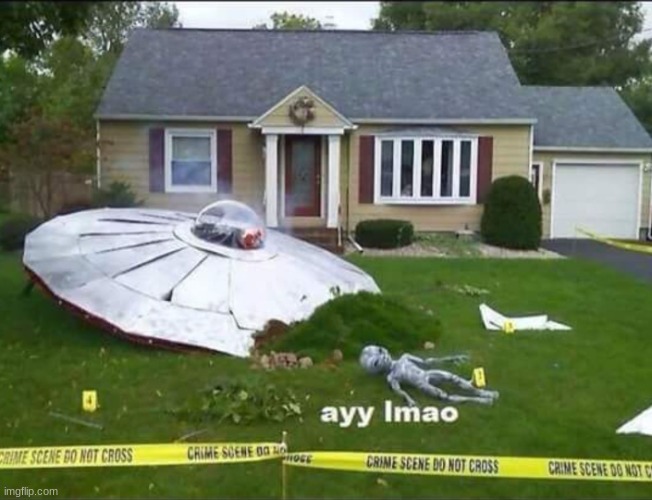 ayy lmao | image tagged in ayy lmao | made w/ Imgflip meme maker
