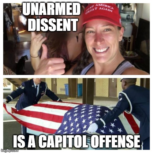 Michael Byrd engages Unarmed Unmentionable | UNARMED 
DISSENT; IS A CAPITOL OFFENSE | image tagged in ashley babbitt | made w/ Imgflip meme maker