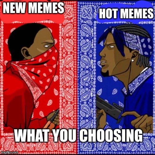 I go new for msmg and hot for fun | HOT MEMES; NEW MEMES; WHAT YOU CHOOSING | image tagged in blood and crip | made w/ Imgflip meme maker