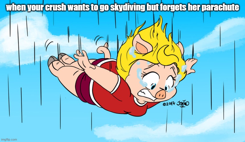 falling Sylvia | when your crush wants to go skydiving but forgets her parachute | image tagged in falling sylvia | made w/ Imgflip meme maker