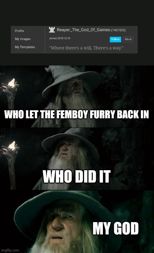 Confused Gandalf Meme | WHO LET THE FEMBOY FURRY BACK IN; WHO DID IT; MY GOD | image tagged in memes,confused gandalf | made w/ Imgflip meme maker