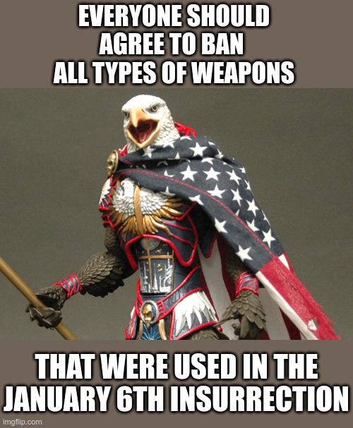 Do they know what protesters used? | EVERYONE SHOULD AGREE TO BAN  ALL TYPES OF WEAPONS; THAT WERE USED IN THE JANUARY 6TH INSURRECTION | image tagged in patriotic defender eagle of america | made w/ Imgflip meme maker