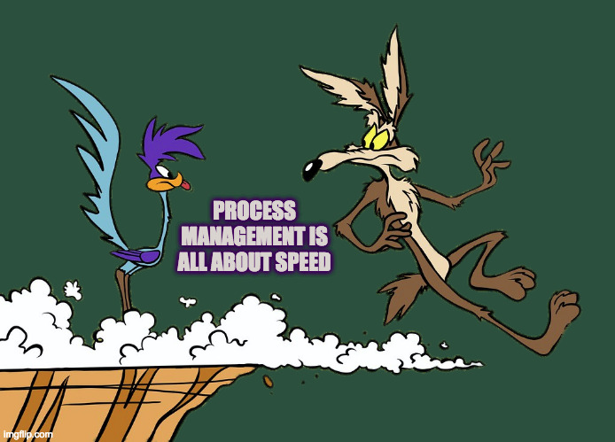 Watch out for the cliff | PROCESS MANAGEMENT IS ALL ABOUT SPEED | image tagged in willie ethelbert coyote's cognitive misalignment,speed | made w/ Imgflip meme maker