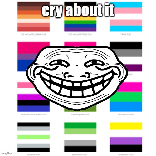 since this place is mainly known for homophobia, here, lgbtq flags | cry about it | image tagged in lgbtq flags | made w/ Imgflip meme maker