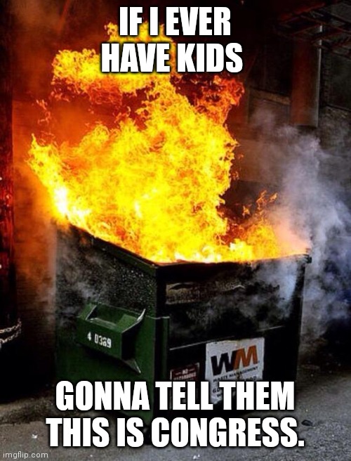 Dumpster Fire |  IF I EVER HAVE KIDS; GONNA TELL THEM THIS IS CONGRESS. | image tagged in dumpster fire | made w/ Imgflip meme maker