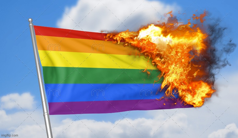 Day 8 of posting a burning gay flag until I get banned | made w/ Imgflip meme maker
