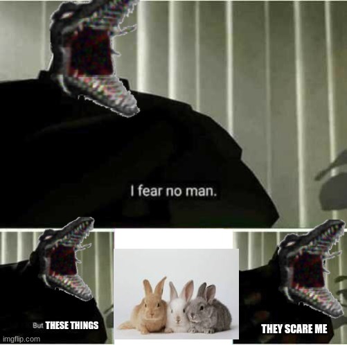 I fear no man |  THESE THINGS; THEY SCARE ME | image tagged in i fear no man | made w/ Imgflip meme maker