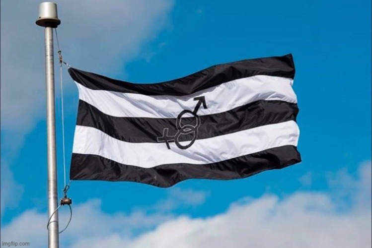 The other MSMG flag | made w/ Imgflip meme maker