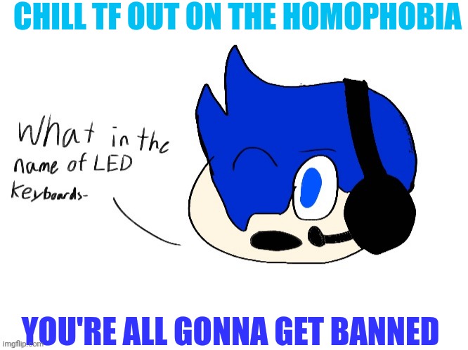 Bro Istg Imma have to start dissaproving shit | CHILL TF OUT ON THE HOMOPHOBIA; YOU'RE ALL GONNA GET BANNED | image tagged in what in the name of led keyboards- | made w/ Imgflip meme maker