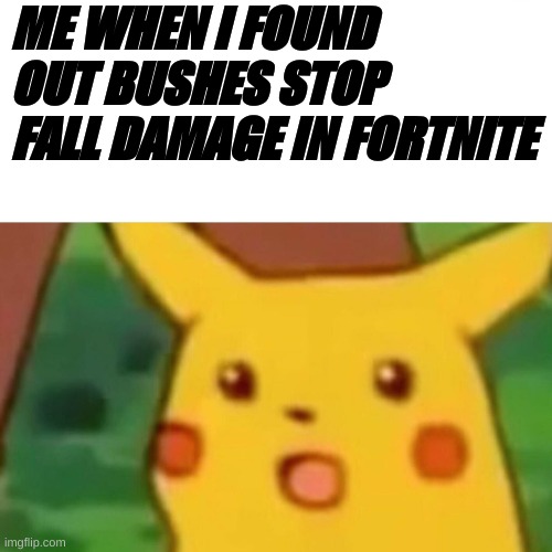 Surprised Pikachu | ME WHEN I FOUND OUT BUSHES STOP FALL DAMAGE IN FORTNITE | image tagged in memes,surprised pikachu | made w/ Imgflip meme maker