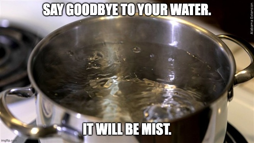 My brother said this today while I was making noodles. |  SAY GOODBYE TO YOUR WATER. IT WILL BE MIST. | image tagged in funny,noodles,water,lol | made w/ Imgflip meme maker