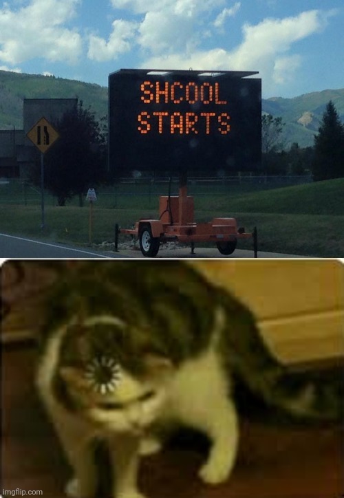 Shcool starts | image tagged in buffering cat,you had one job,school,memes,meme,schools | made w/ Imgflip meme maker