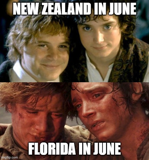 New Zealand and Florida | NEW ZEALAND IN JUNE; FLORIDA IN JUNE | image tagged in sam and frodo before and after mt doom | made w/ Imgflip meme maker