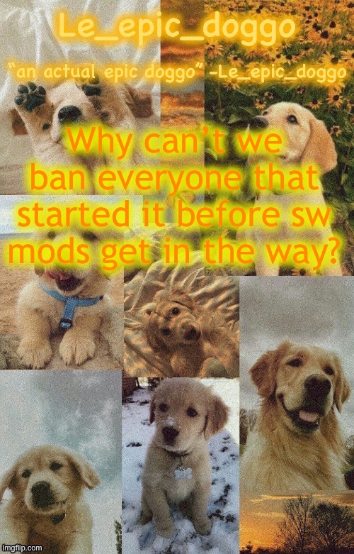Doggo temp by doggo. Wait what that’s confusing | Why can’t we ban everyone that started it before sw mods get in the way? | image tagged in doggo temp by doggo wait what that s confusing | made w/ Imgflip meme maker