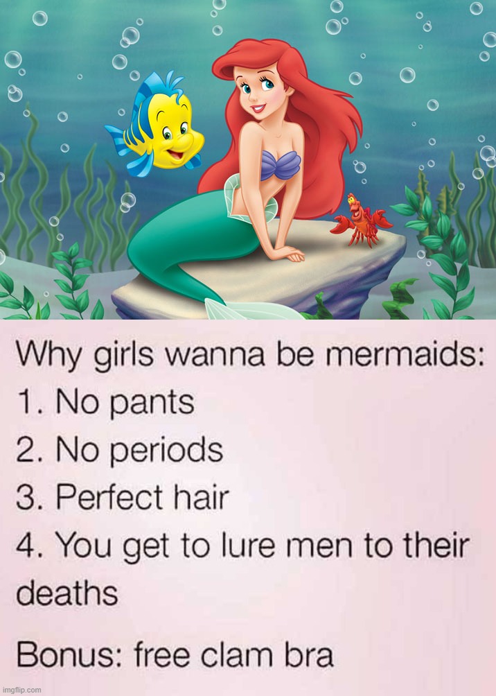 image tagged in little mermaid | made w/ Imgflip meme maker