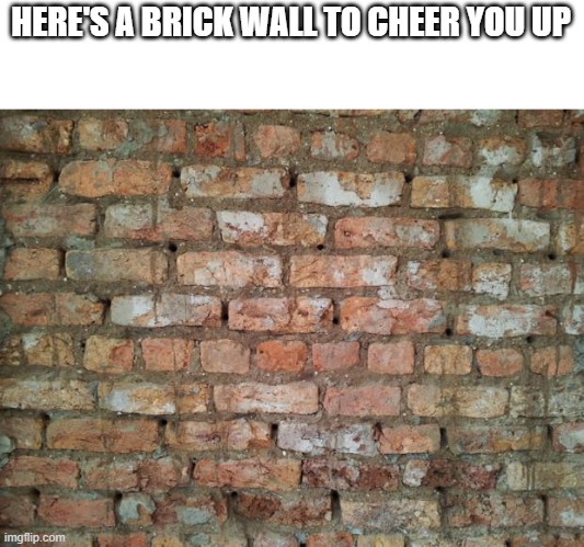 Brick wall | HERE'S A BRICK WALL TO CHEER YOU UP | image tagged in brick wall | made w/ Imgflip meme maker