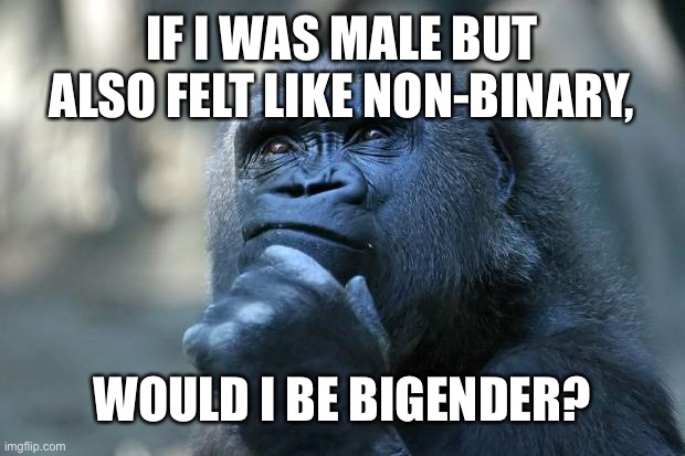 I need to know | IF I WAS MALE BUT ALSO FELT LIKE NON-BINARY, WOULD I BE BIGENDER? | image tagged in deep thoughts | made w/ Imgflip meme maker