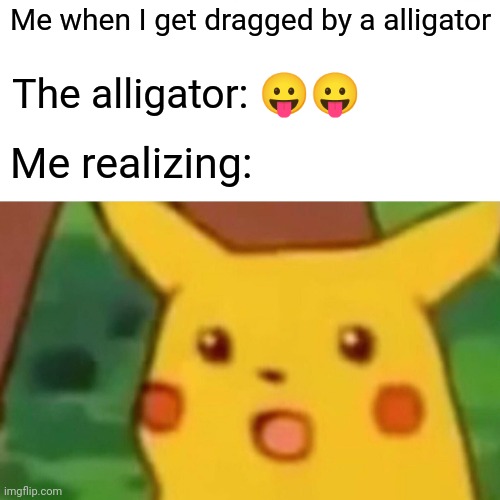 Me when I get dragged by a alligator The alligator: ?? Me realizing: | image tagged in memes,surprised pikachu | made w/ Imgflip meme maker