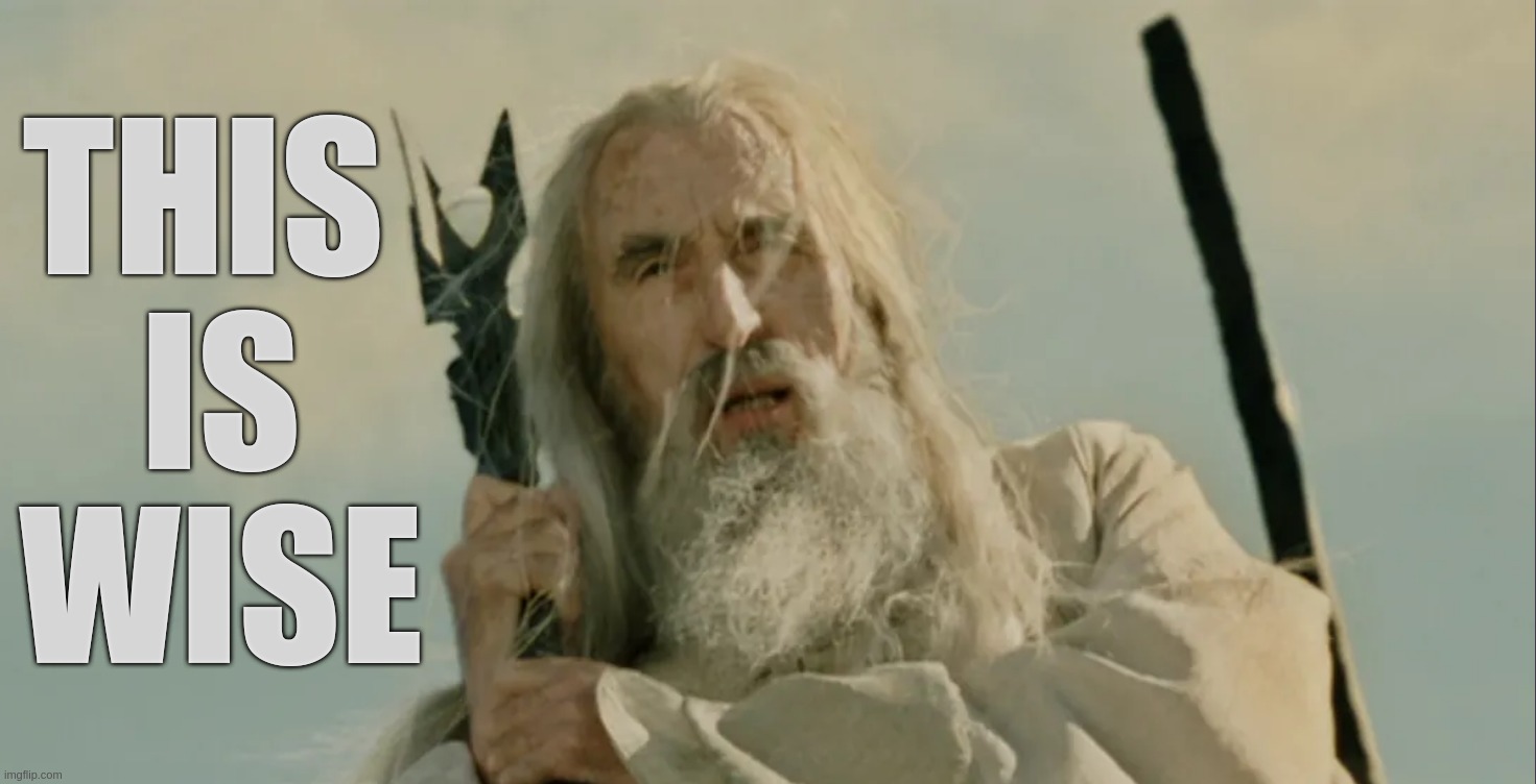 Saruman Wise Gandalf Fool Sauron |  THIS 
IS
WISE | image tagged in gandalf,saruman,sauron,wise,lord of the rings,generic | made w/ Imgflip meme maker