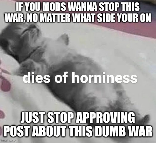I'll let you all handle this. the fate of this stream is in msmgs hands | IF YOU MODS WANNA STOP THIS WAR, NO MATTER WHAT SIDE YOUR ON; JUST STOP APPROVING POST ABOUT THIS DUMB WAR | image tagged in dies of horniness | made w/ Imgflip meme maker