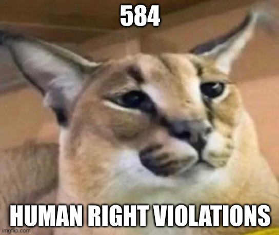 big floppa | 584; HUMAN RIGHT VIOLATIONS | image tagged in floppa,human rights | made w/ Imgflip meme maker