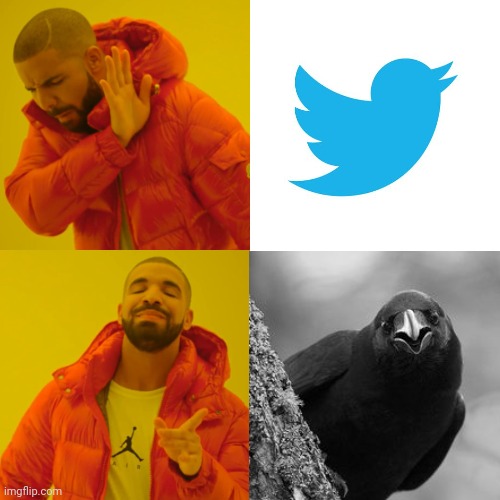 Raven Online | image tagged in memes,drake hotline bling | made w/ Imgflip meme maker