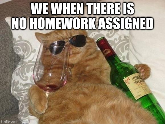 Funny Cat Birthday | WE WHEN THERE IS NO HOMEWORK ASSIGNED | image tagged in funny cat birthday | made w/ Imgflip meme maker