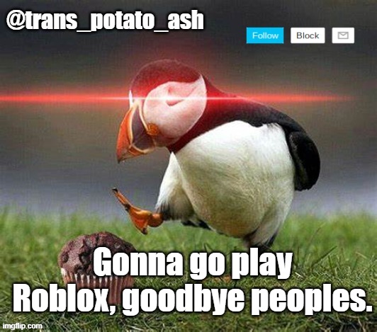 Gonna go play Roblox, goodbye peoples. | image tagged in your local ash | made w/ Imgflip meme maker