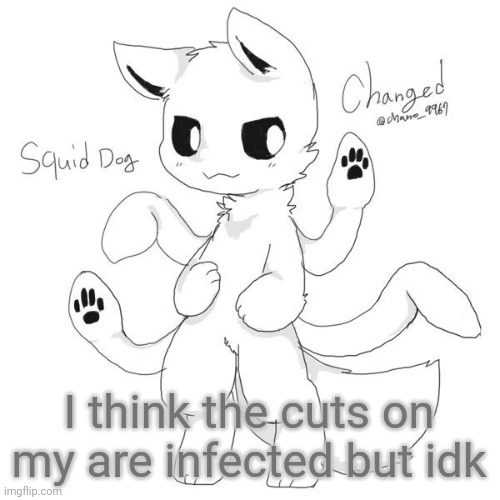 I am in pain. note from gio: me* | I think the cuts on my are infected but idk | image tagged in squid dog | made w/ Imgflip meme maker