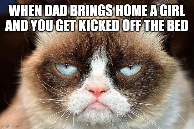 Grumpy Cat Not Amused | WHEN DAD BRINGS HOME A GIRL AND YOU GET KICKED OFF THE BED | image tagged in memes,grumpy cat not amused,grumpy cat | made w/ Imgflip meme maker