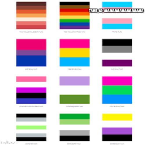 Add yourself and repost | TRANS_GO_AAAAAAAAAAAAAAAAAAAAAAA | image tagged in lgbtq flags | made w/ Imgflip meme maker