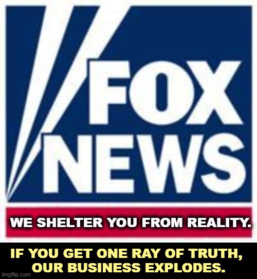 Your fear and anger make our accountants happy. | WE SHELTER YOU FROM REALITY. IF YOU GET ONE RAY OF TRUTH, 
OUR BUSINESS EXPLODES. | image tagged in fox news,hide,truth,disguise,reality | made w/ Imgflip meme maker
