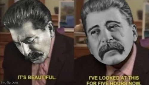 Stalin it’s beautiful I’ve looked at this for five hours now Blank Meme Template