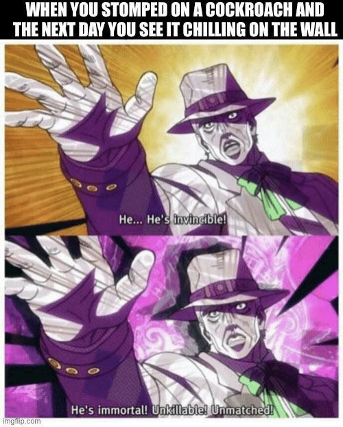 He’s invincible! | WHEN YOU STOMPED ON A COCKROACH AND THE NEXT DAY YOU SEE IT CHILLING ON THE WALL | image tagged in he s invincible,cockroach,jojo's bizarre adventure | made w/ Imgflip meme maker