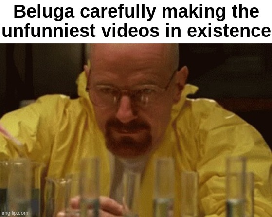 This content is garbage | Beluga carefully making the unfunniest videos in existence | image tagged in walter white cooking | made w/ Imgflip meme maker