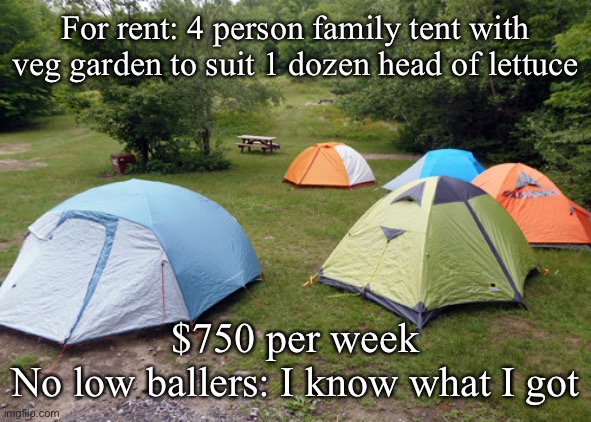 Rental prices |  For rent: 4 person family tent with veg garden to suit 1 dozen head of lettuce; $750 per week
No low ballers: I know what I got | image tagged in tent city,lettuce,rent | made w/ Imgflip meme maker