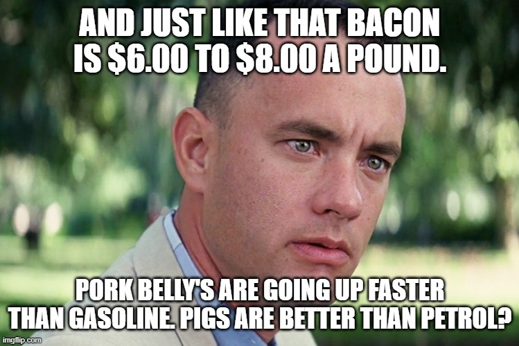 Pork Belly | AND JUST LIKE THAT BACON IS $6.00 TO $8.00 A POUND. PORK BELLY'S ARE GOING UP FASTER THAN GASOLINE. PIGS ARE BETTER THAN PETROL? | image tagged in memes,and just like that | made w/ Imgflip meme maker