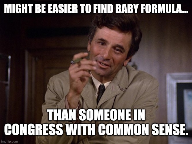 Columbo | MIGHT BE EASIER TO FIND BABY FORMULA... THAN SOMEONE IN CONGRESS WITH COMMON SENSE. | image tagged in columbo | made w/ Imgflip meme maker