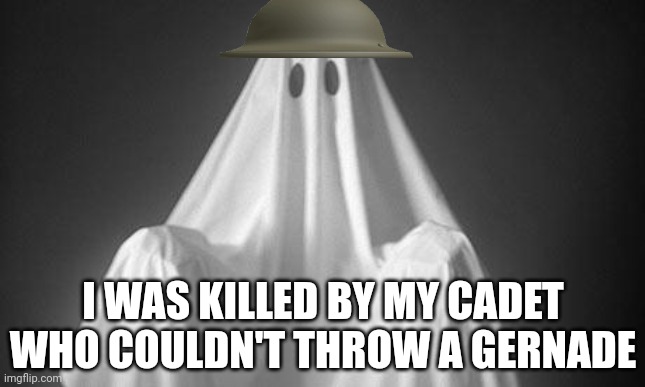 Ghost | I WAS KILLED BY MY CADET WHO COULDN'T THROW A GERNADE | image tagged in ghost | made w/ Imgflip meme maker