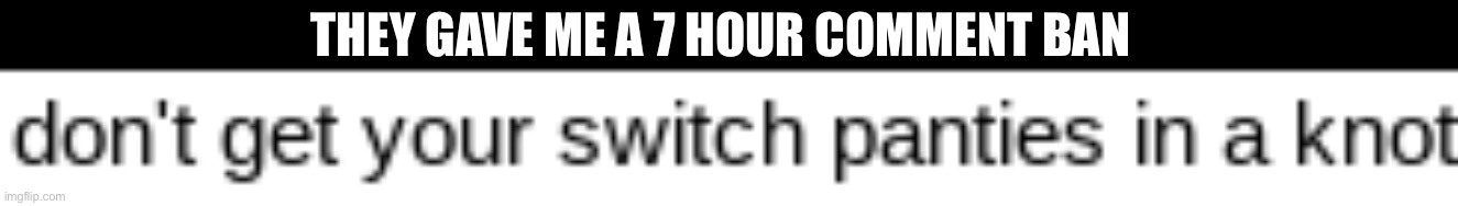 don't get your switch panties in a knot | THEY GAVE ME A 7 HOUR COMMENT BAN | image tagged in don't get your switch panties in a knot | made w/ Imgflip meme maker