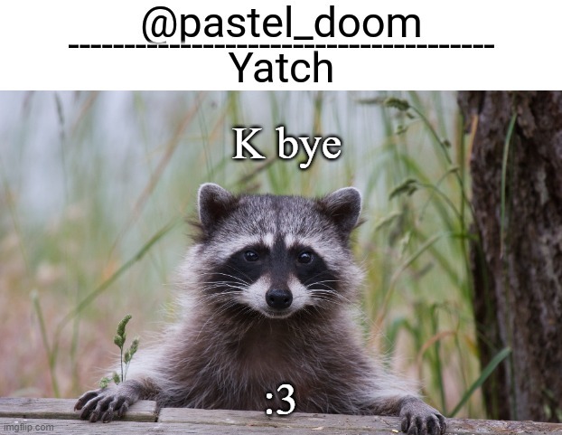 Yachi's raccoon temp (thank you Badoo) | K bye; :3 | image tagged in yachi's raccoon temp thank you badoo | made w/ Imgflip meme maker
